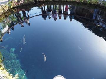 新緑の絶景 富士五湖ライド｜旅ライド倶楽部・関西