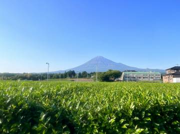 新緑の絶景 富士五湖ライド｜旅ライド倶楽部・関西