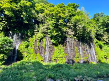 新緑の絶景 富士五湖ライド｜旅ライド倶楽部・関西