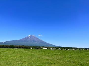 新緑の絶景 富士五湖ライド｜旅ライド倶楽部・関西