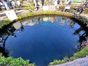 新緑の絶景 富士五湖ライド｜旅ライド倶楽部・関西