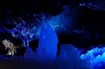 新緑の絶景 富士五湖ライド｜旅ライド倶楽部・関西