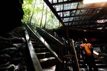 新緑の絶景 富士五湖ライド｜旅ライド倶楽部・関西