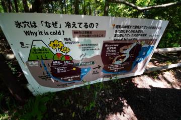 新緑の絶景 富士五湖ライド｜旅ライド倶楽部・関西