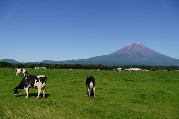 新緑の絶景 富士五湖ライド｜旅ライド倶楽部・関西