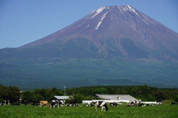 新緑の絶景 富士五湖ライド｜旅ライド倶楽部・関西