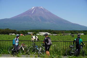 新緑の絶景 富士五湖ライド｜旅ライド倶楽部・関西