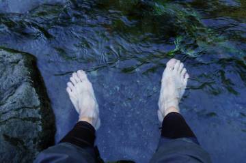 新緑の絶景 富士五湖ライド｜旅ライド倶楽部・関西