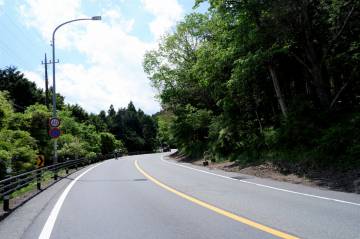 新緑の絶景 富士五湖ライド｜旅ライド倶楽部・関西