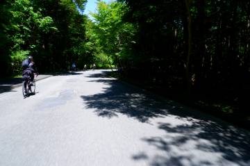 新緑の絶景 富士五湖ライド｜旅ライド倶楽部・関西