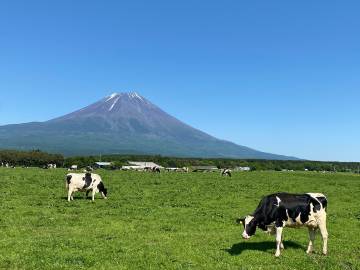 新緑の絶景 富士五湖ライド｜旅ライド倶楽部・関西