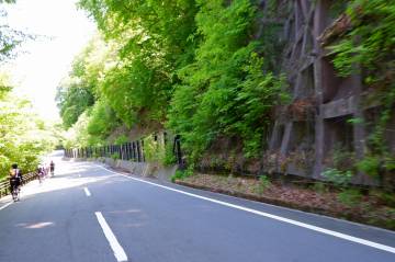新緑の絶景 富士五湖ライド｜旅ライド倶楽部・関西