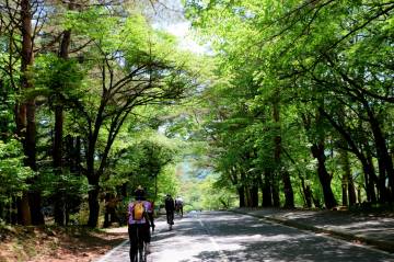 新緑の絶景 富士五湖ライド｜旅ライド倶楽部・関西