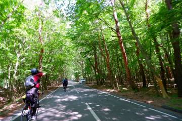 新緑の絶景 富士五湖ライド｜旅ライド倶楽部・関西