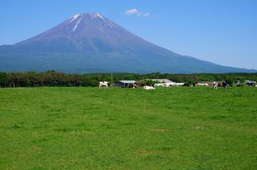 新緑の絶景 富士五湖ライド｜旅ライド倶楽部・関西