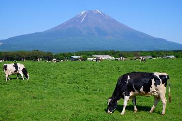 新緑の絶景 富士五湖ライド｜旅ライド倶楽部・関西