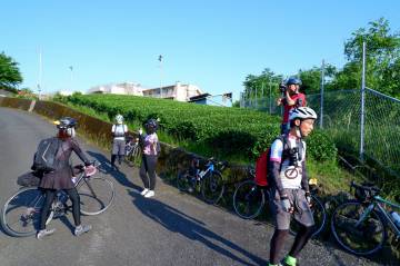 新緑の絶景 富士五湖ライド｜旅ライド倶楽部・関西