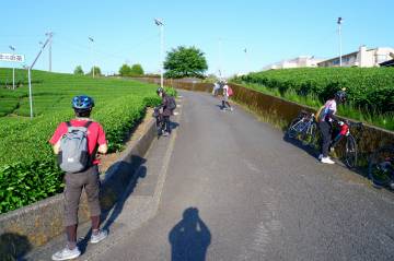 新緑の絶景 富士五湖ライド｜旅ライド倶楽部・関西