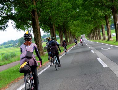 2021.06.27(sun)｜奥琵琶湖・余呉湖とメタセコイヤ並木｜旅ライド倶楽部・関西