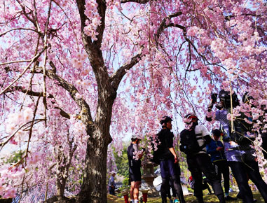 2022.04.10(sun)｜豊岡ライド(2日目)｜旅ライド倶楽部・関西