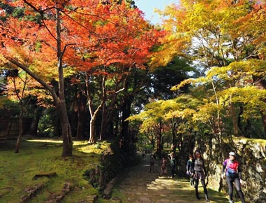 2023.11.19(sun)｜紅葉の湖東三山ライド｜旅ライド倶楽部・関西