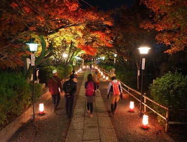 2024.12.01(sun)｜京都紅葉ライド｜旅ライド倶楽部・関西