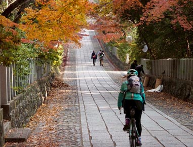 2025.12.07(sun)｜京都紅葉ライド｜旅ライド倶楽部・関西